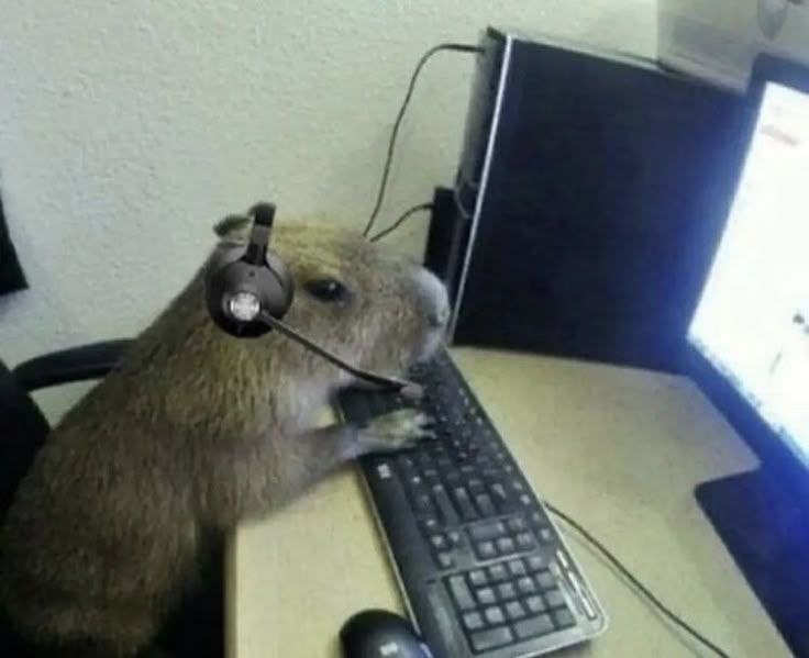 Бобр за компом